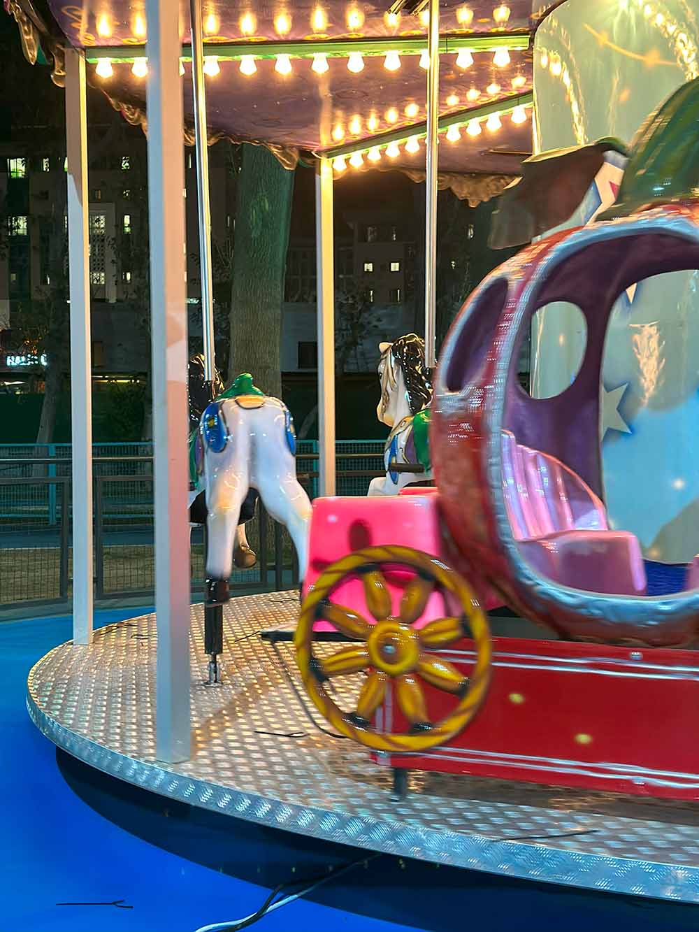 Atlı Karınca Atlı karınca 12 li