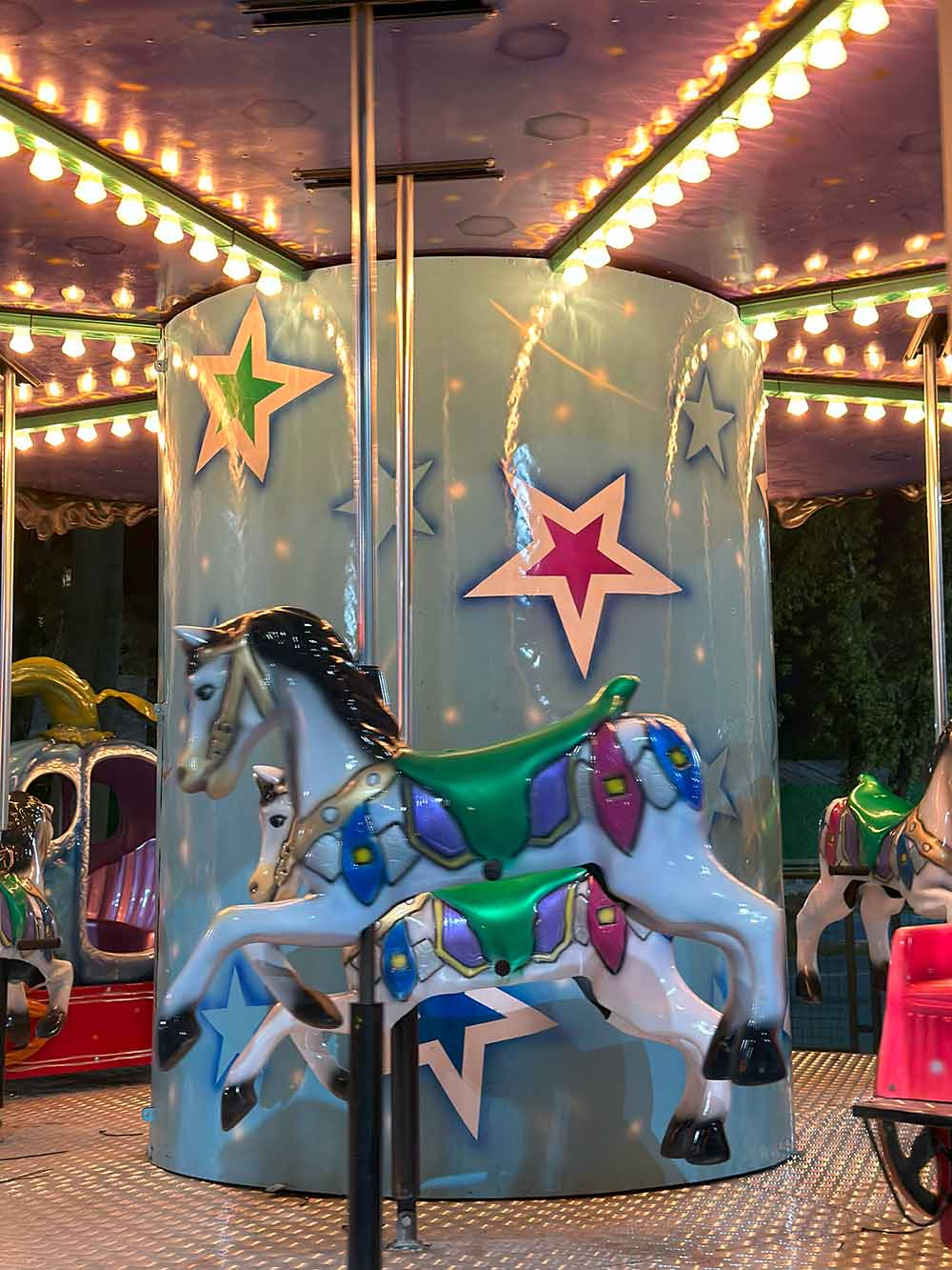 Atlı Karınca Atlı karınca 12 li