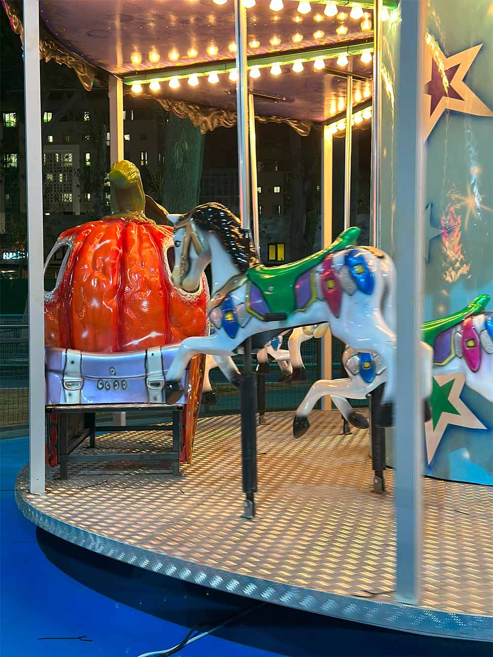 Atlı Karınca Atlı karınca 12 li