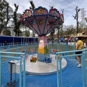 Sekolin 12 kişilik ışıklandırması ve boyası yapılmış bir ürün